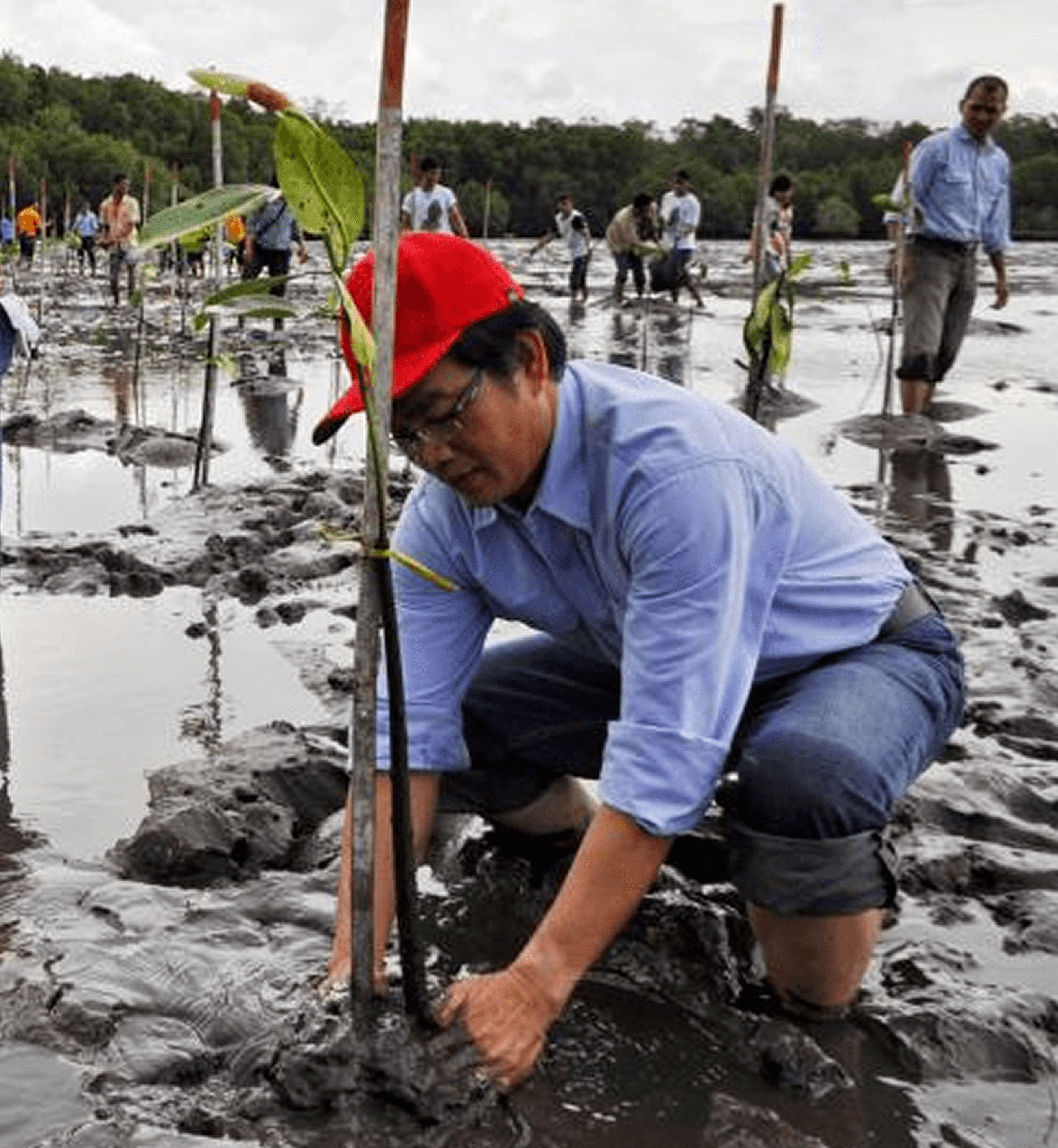 Environment Preservation